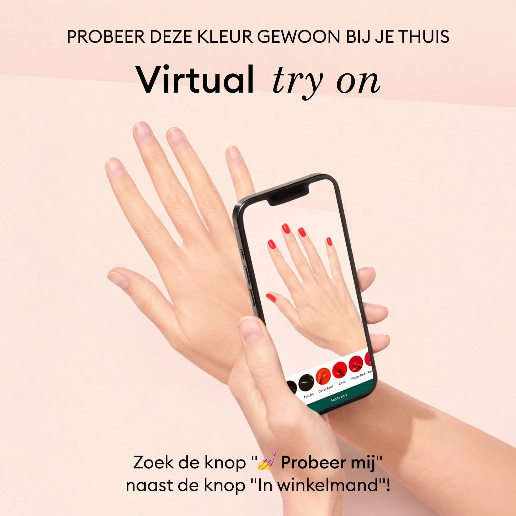 Image du produit 19