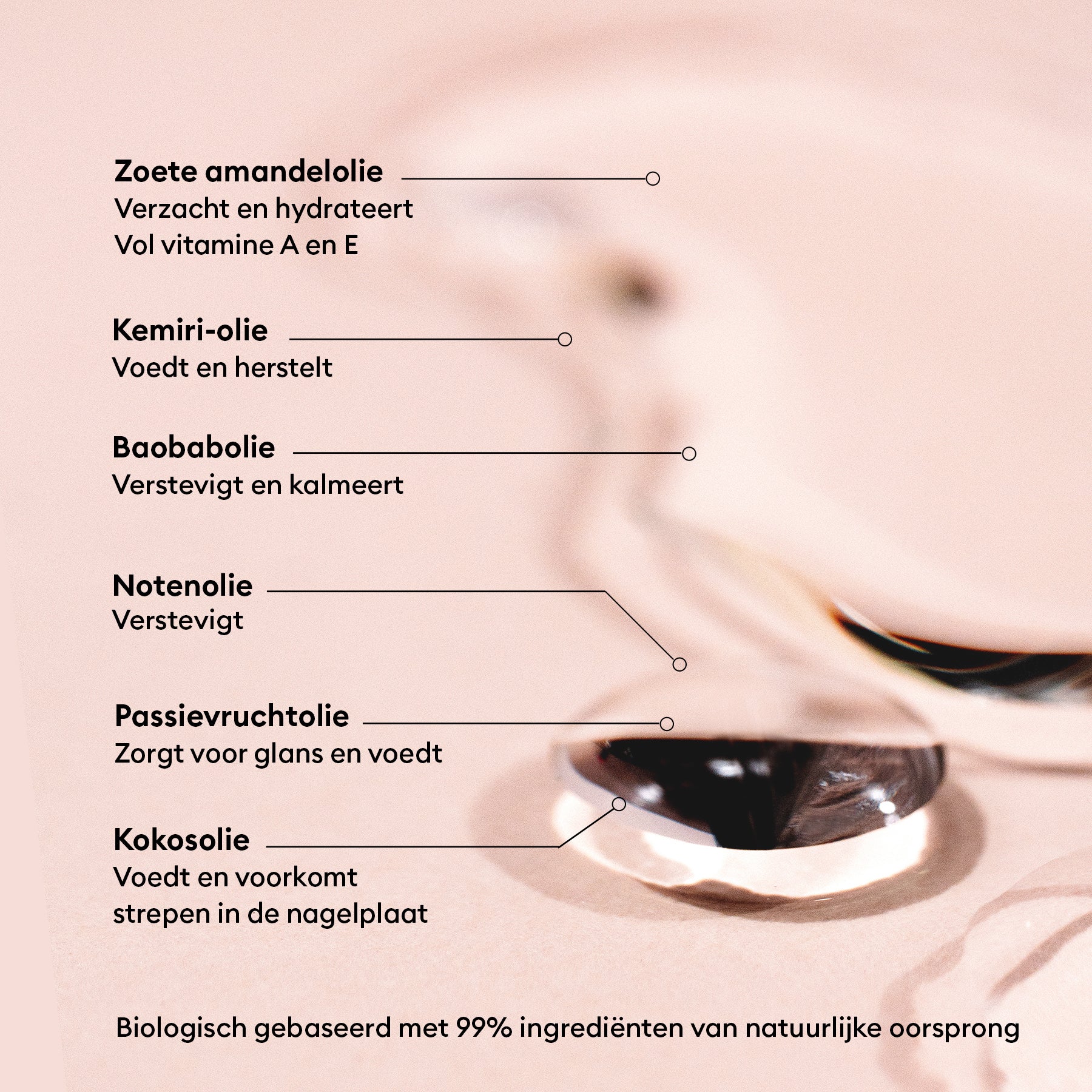 Image du produit 19